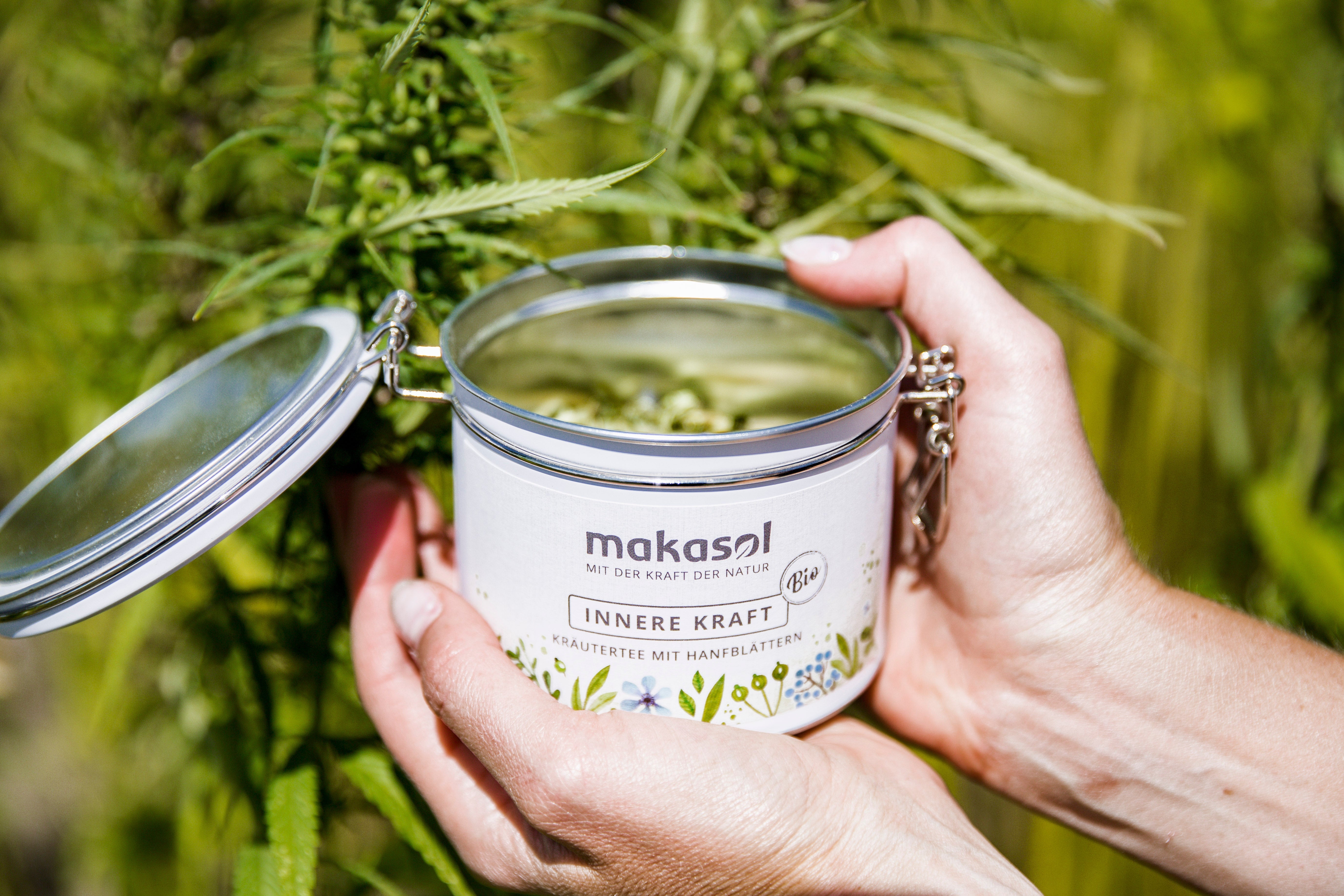 Der Hanf für unsere makasol-Produkte